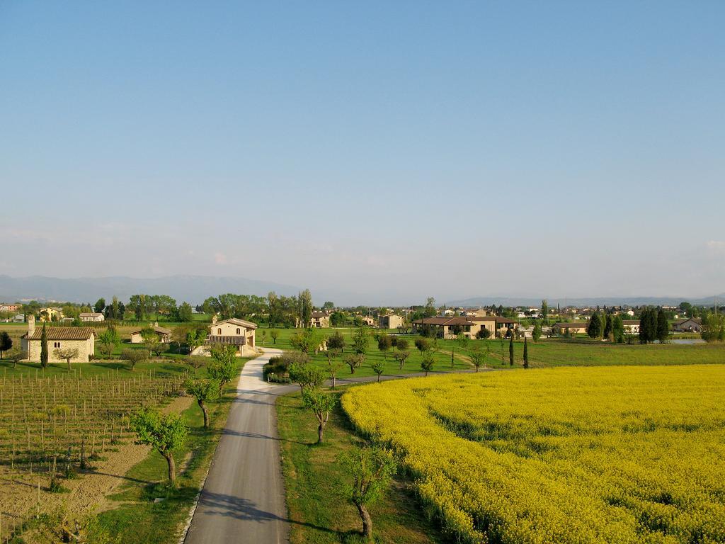 Valle Di Country Apartment Assisi