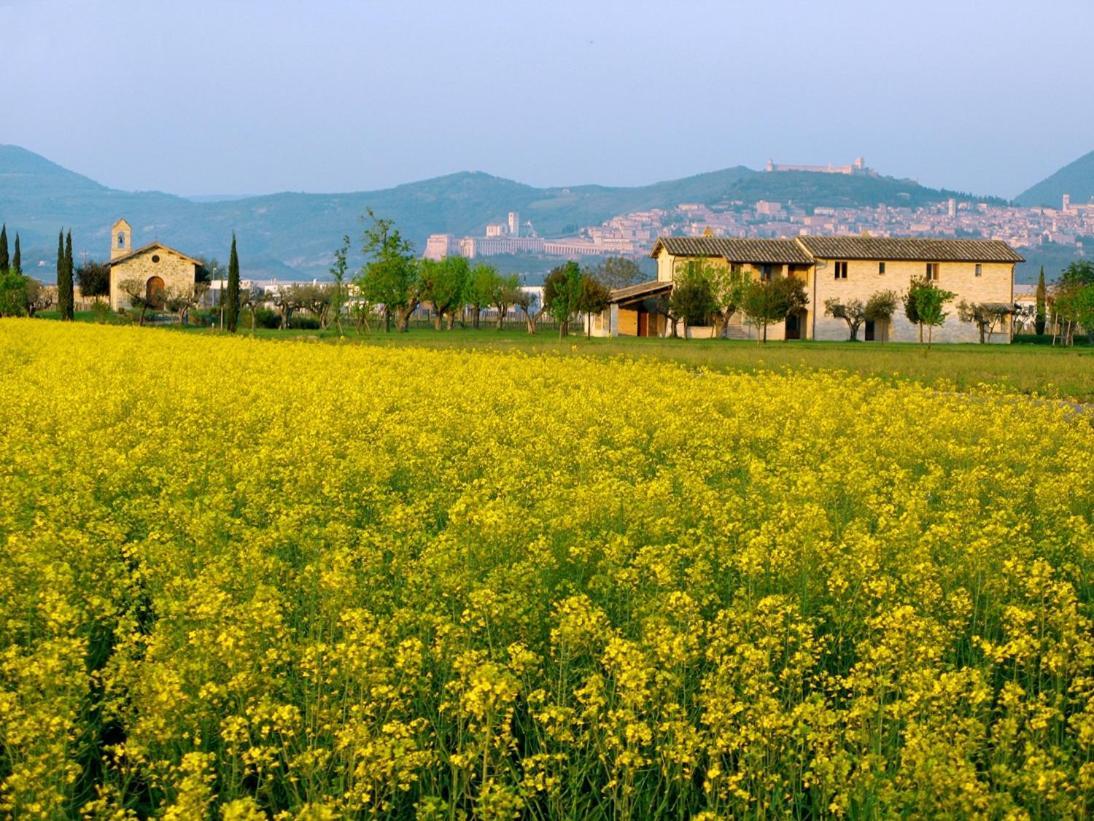 Valle Di Country Apartment *